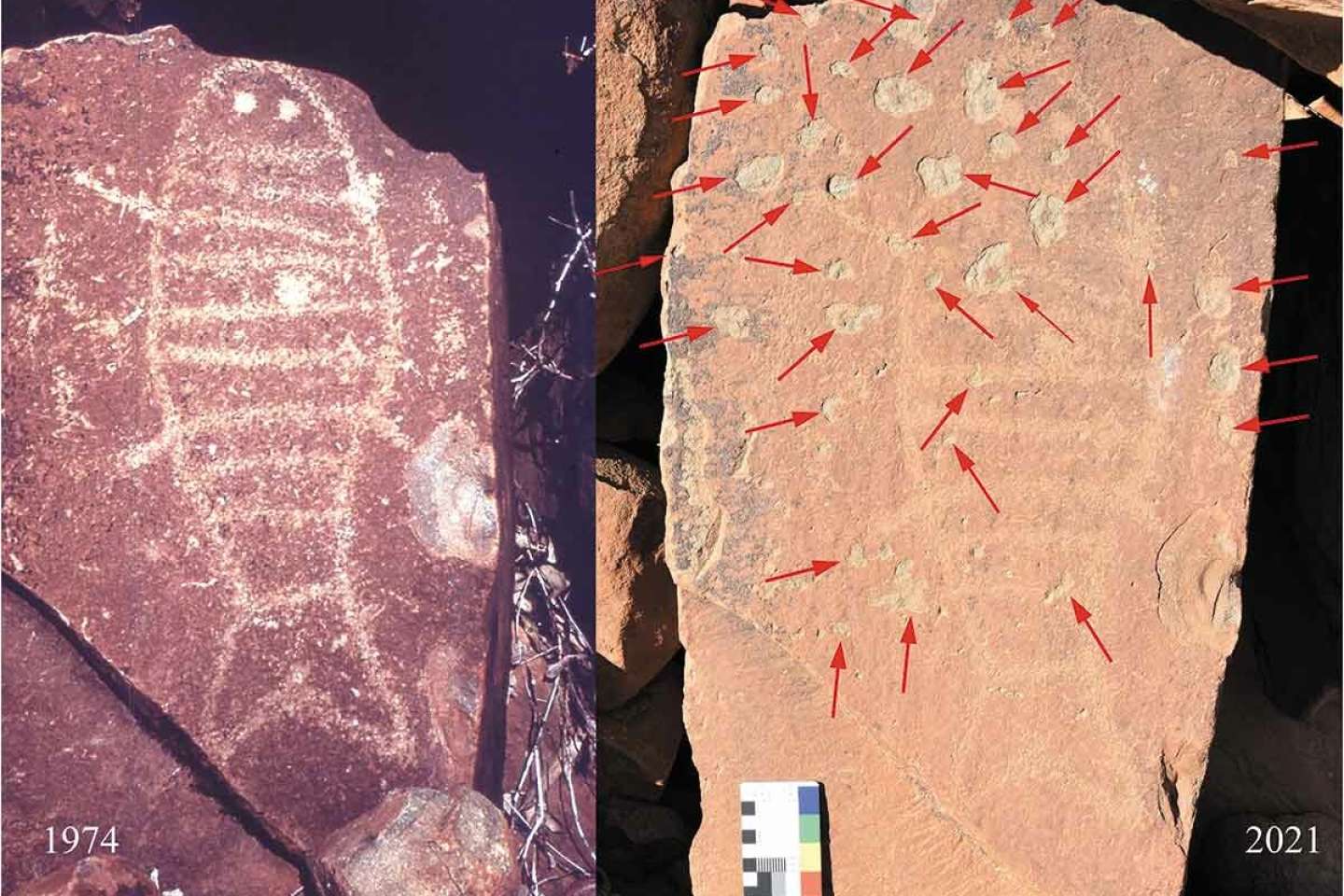 One of the largest rock art ensembles in the world threatened by petrochemical industries