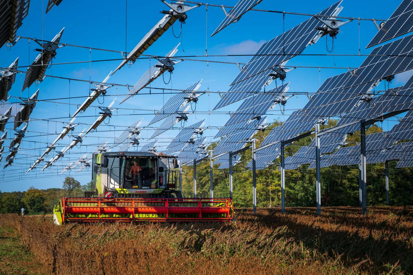 In Haute-Saône, agrivoltaism, or solar energy in the countryside
